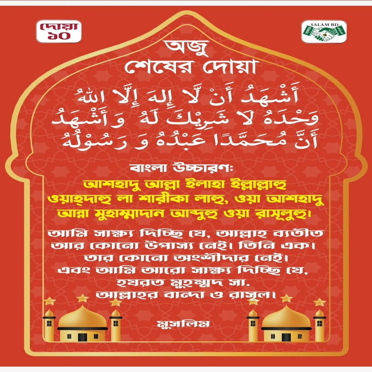 প্লাগ ইন কুরআন