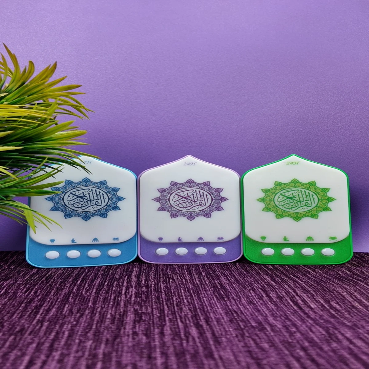 প্লাগ ইন কুরআন