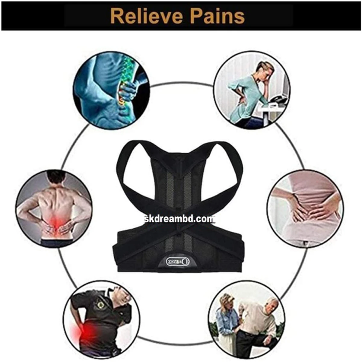 Back Support Belt