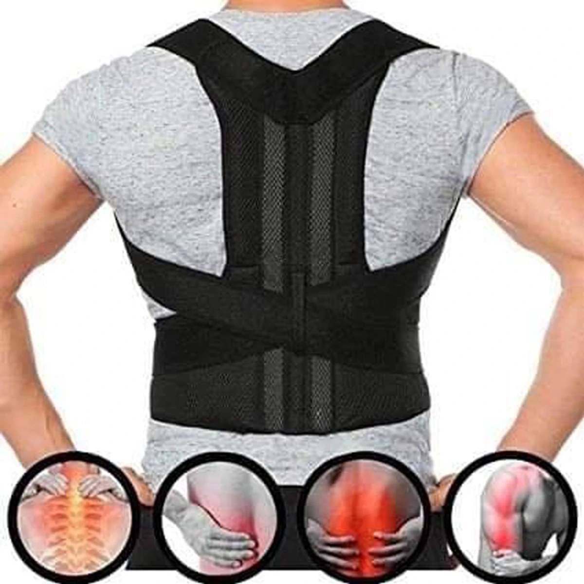 Back Support Belt